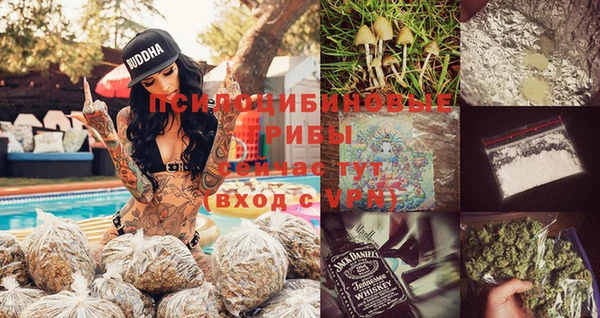 дурь Алексин