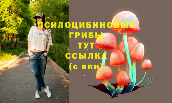 дурь Алексин