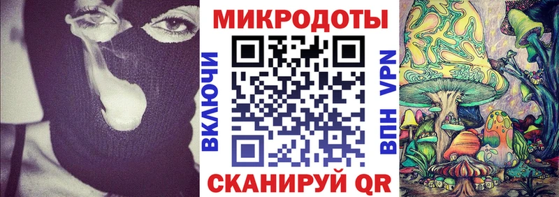 Псилоцибиновые грибы Cubensis что такое наркотик Киселёвск