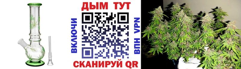 Бошки Шишки сатива  Киселёвск 
